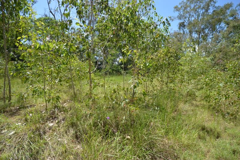 Lot 2 Wilcox Road, Kenilworth QLD 4574, Image 2