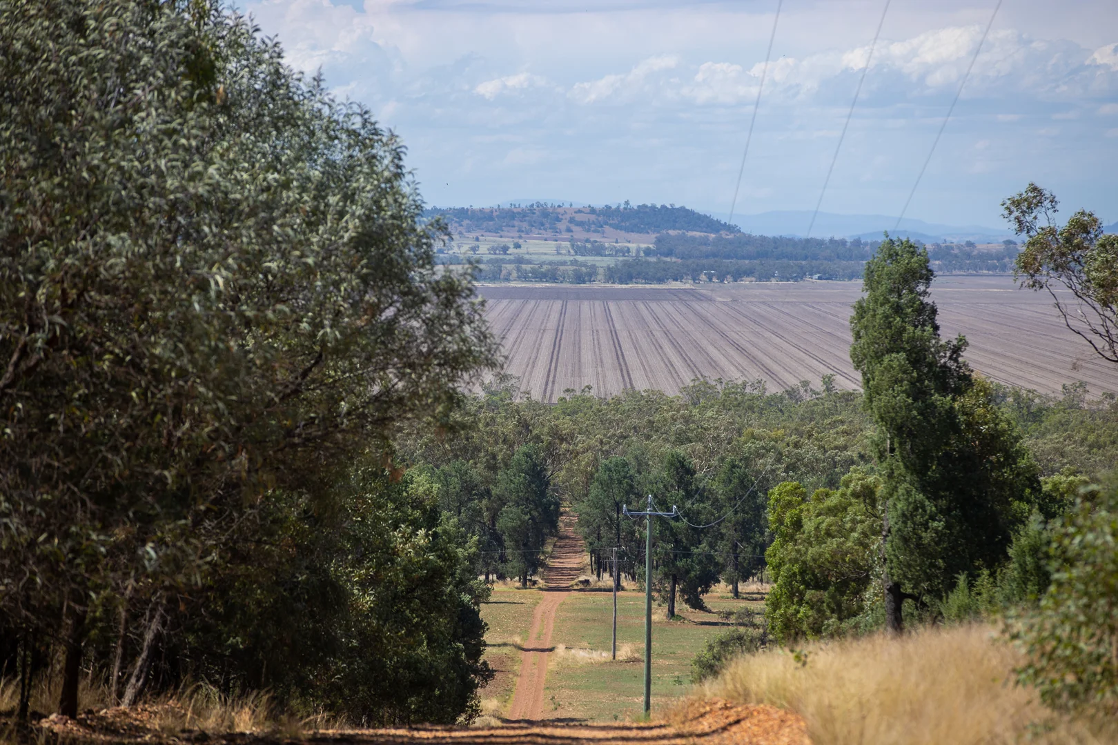 Image 15