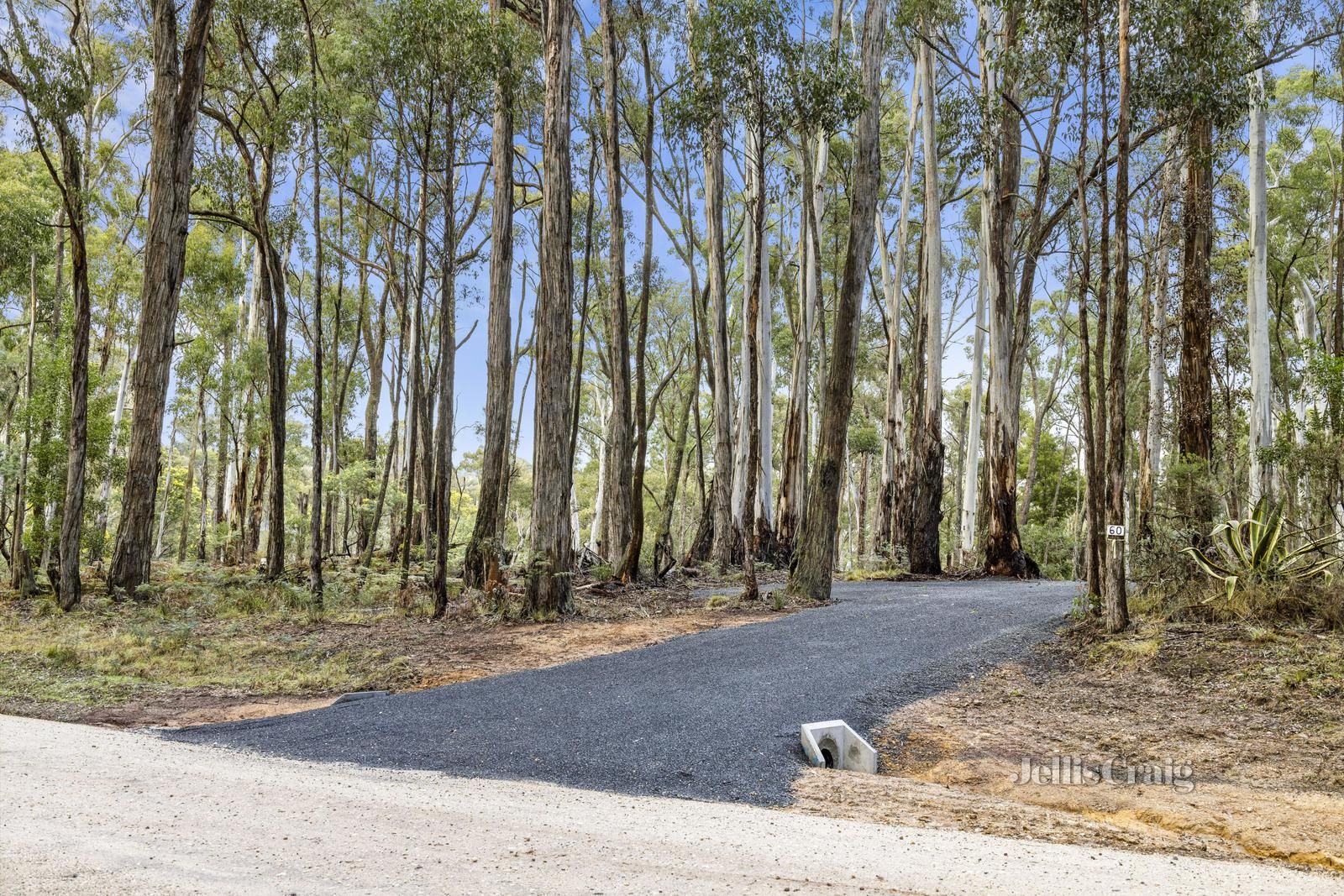 Vacant land in 60 Whitegum Drive, WHEATSHEAF VIC, 3461