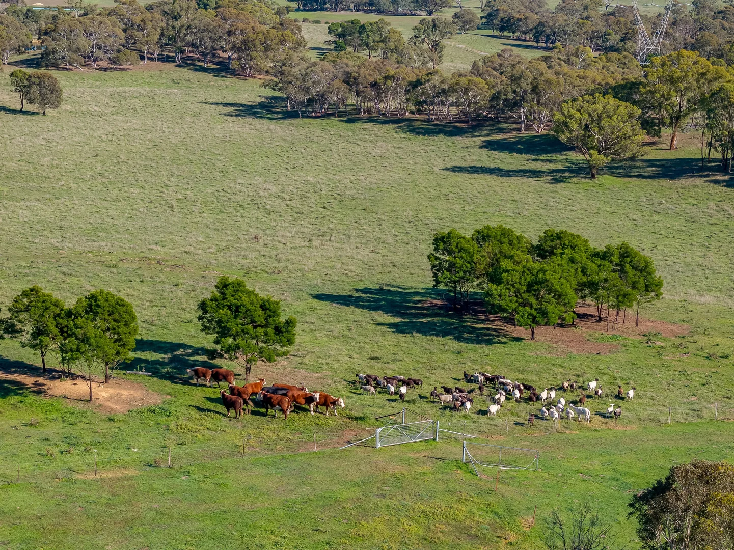 Additional image 3 of 7550 Federal Highway, Goulburn NSW 2580