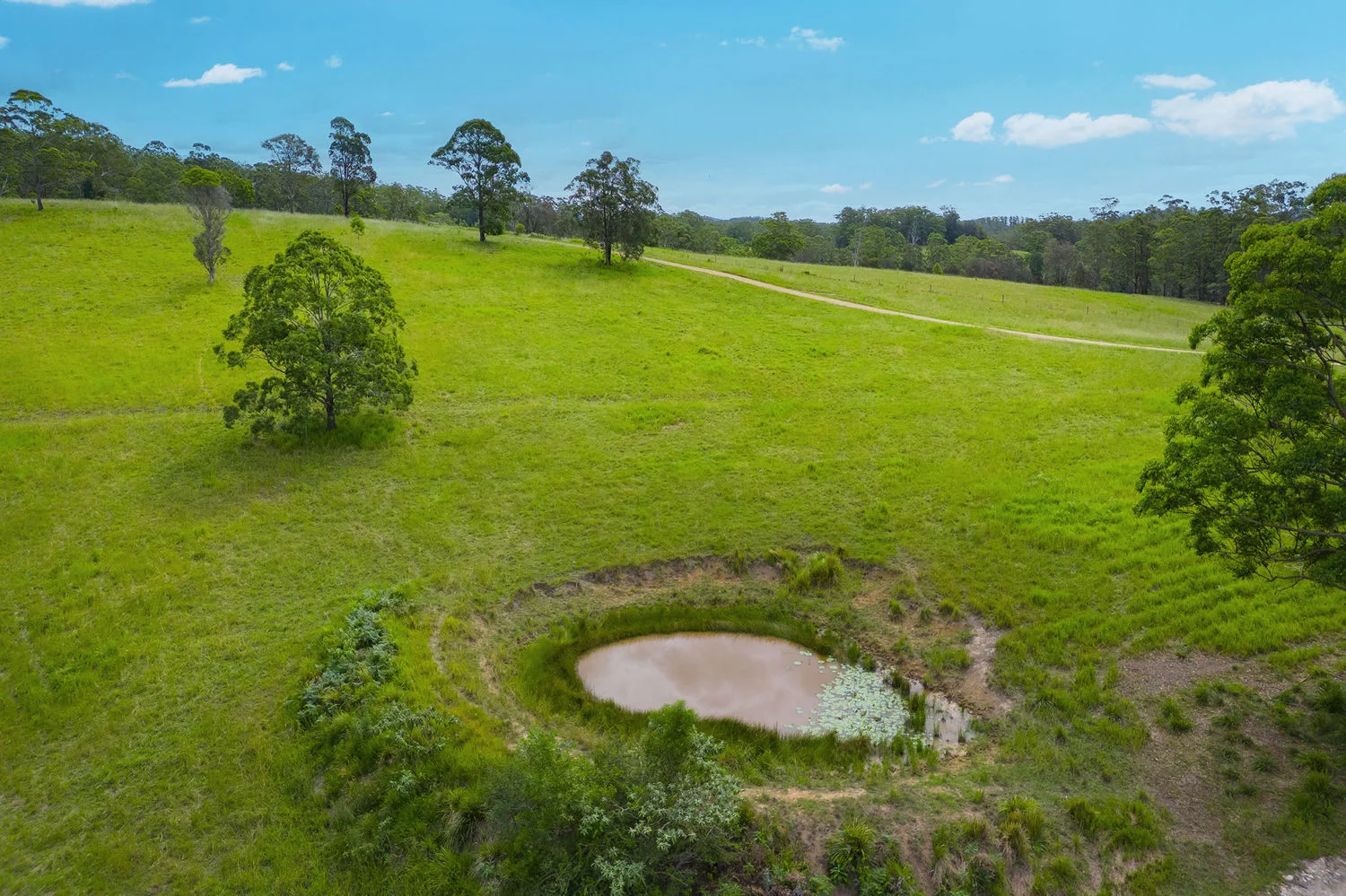 Additional image 6 of Lot 120/1085 Rollands Plains Road, Ballengarra NSW 2441