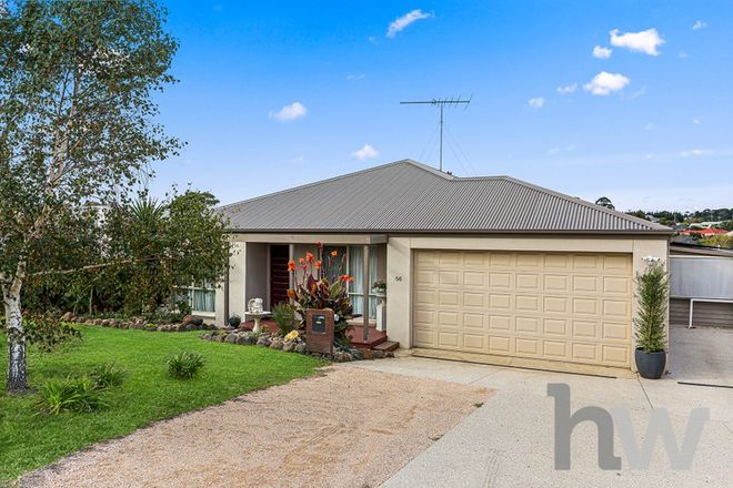 Picture of 56 Newcombe Street, DRYSDALE VIC 3222