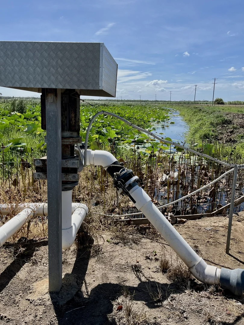 Additional image 6 of 449 Trent Road, Alva QLD 4807