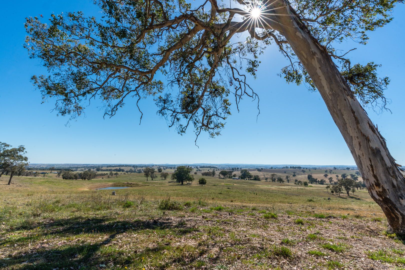 Molong NSW 2866, Image 2