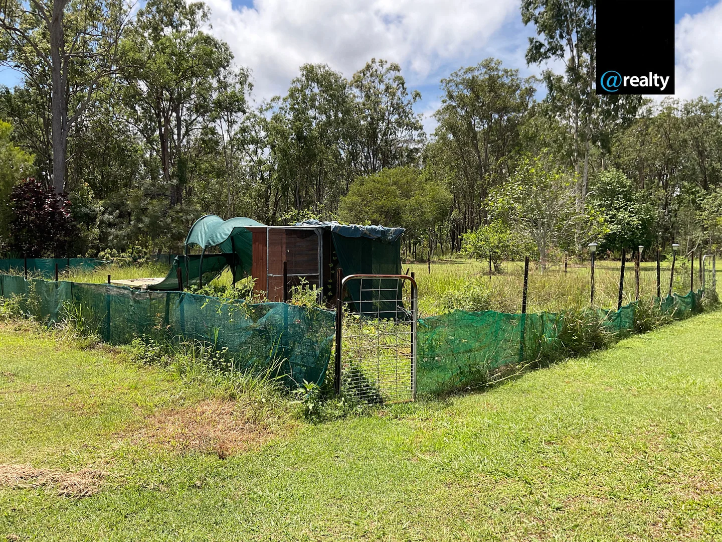 Image 38
