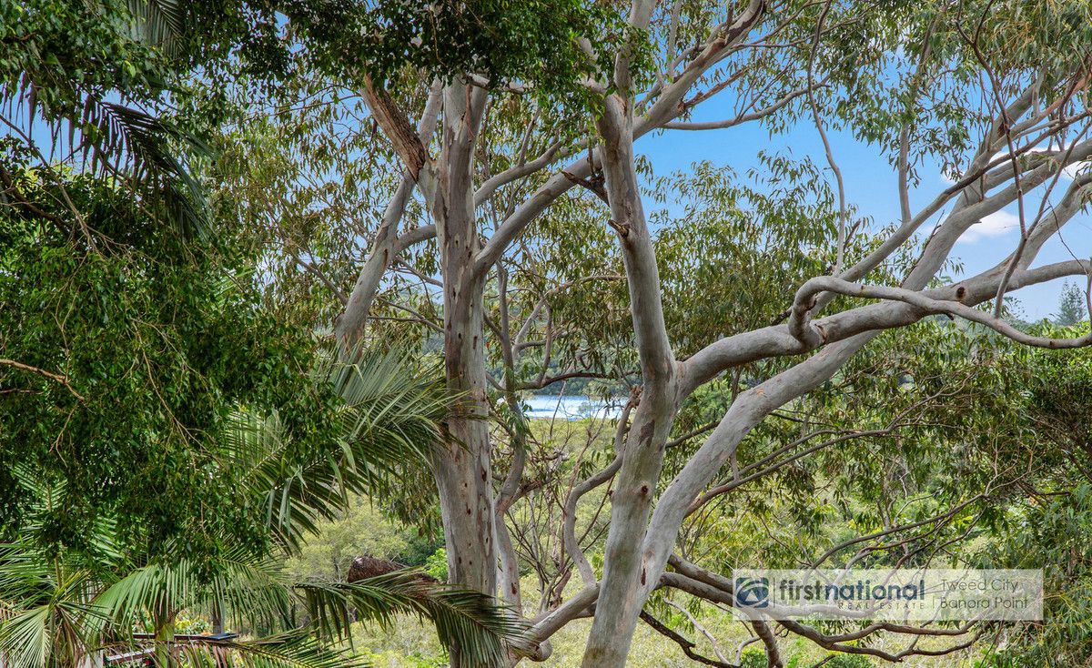 23 Hibiscus Parade, Banora Point NSW 2486, Image 1