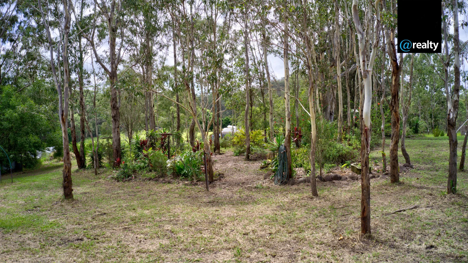 Image 82