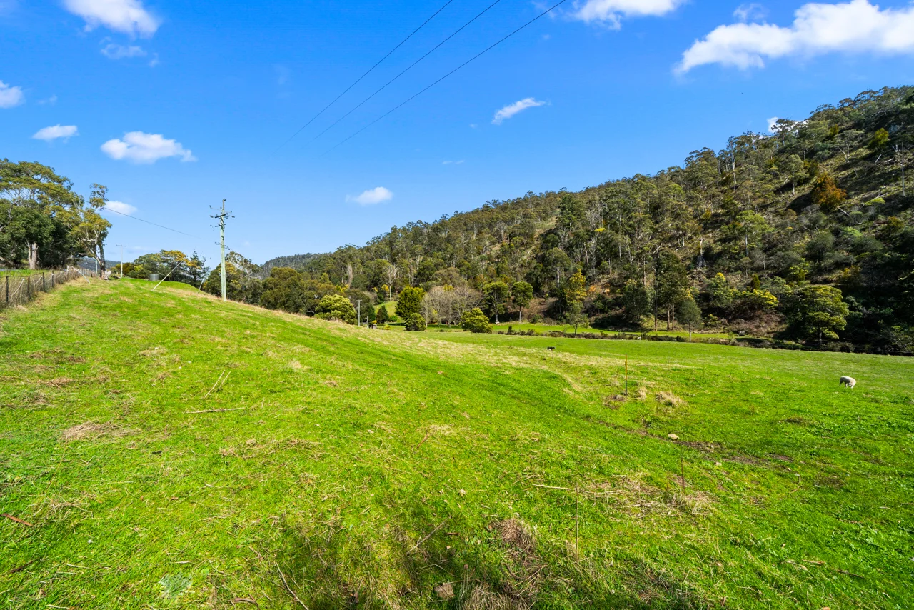 Image 10