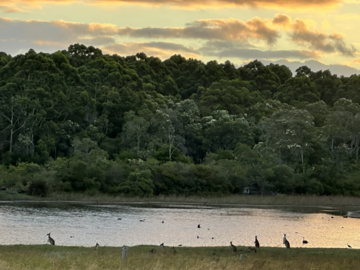 Additional image 18 of 700/102 Drummond Road, Forest Grove WA 6286