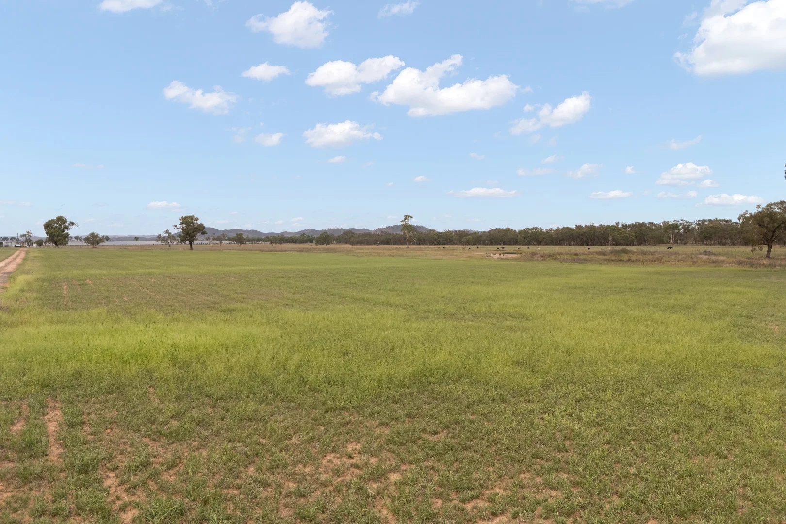 Additional image 11 of 35 Beryl Road, Gulgong NSW 2852