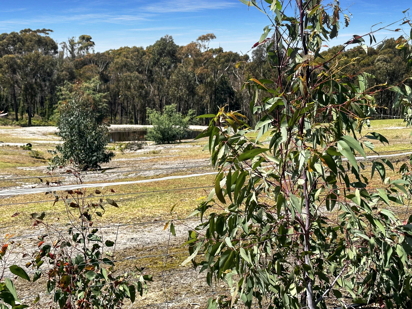 Image 18