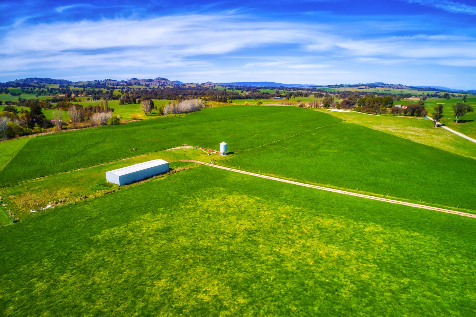 109 Newtons Road, Mullengandra NSW 2644, Image 2