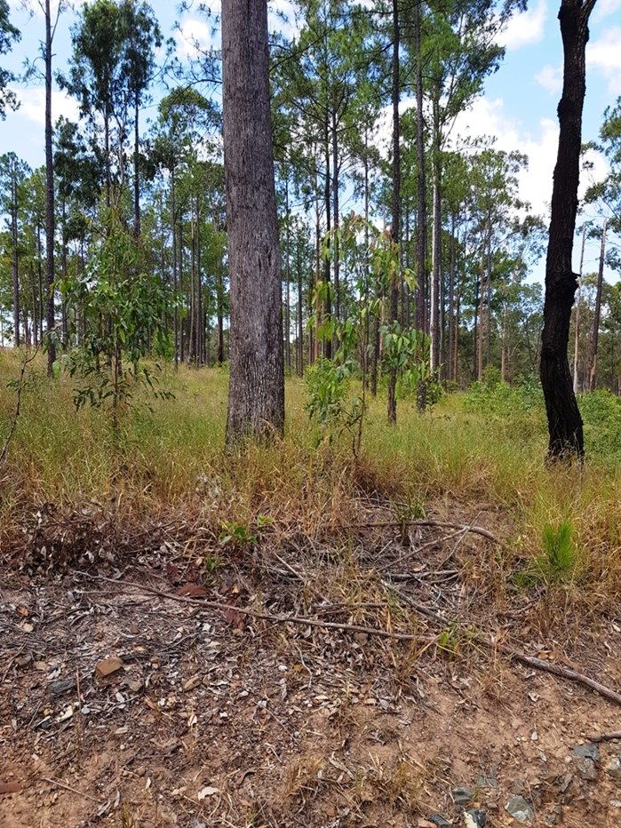 Lot 138 Neerdie Road, Glenwood QLD 4570, Image 0