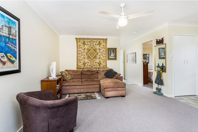 Picture of 5/5 Scott Place, SOUTH LISMORE NSW 2480