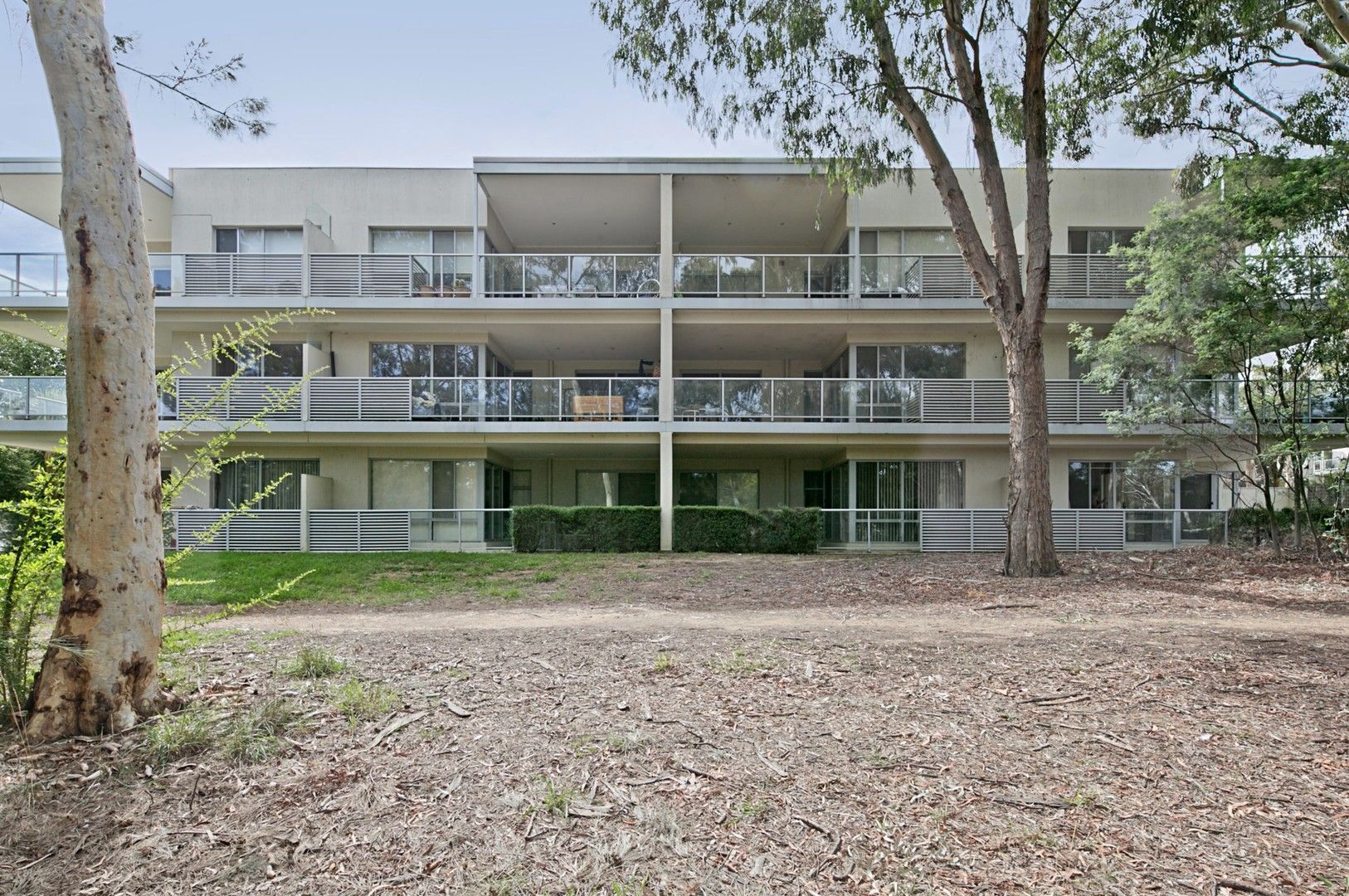 1/1 Eardley Street, Bruce ACT 2617 - Apartment For Rent | Domain