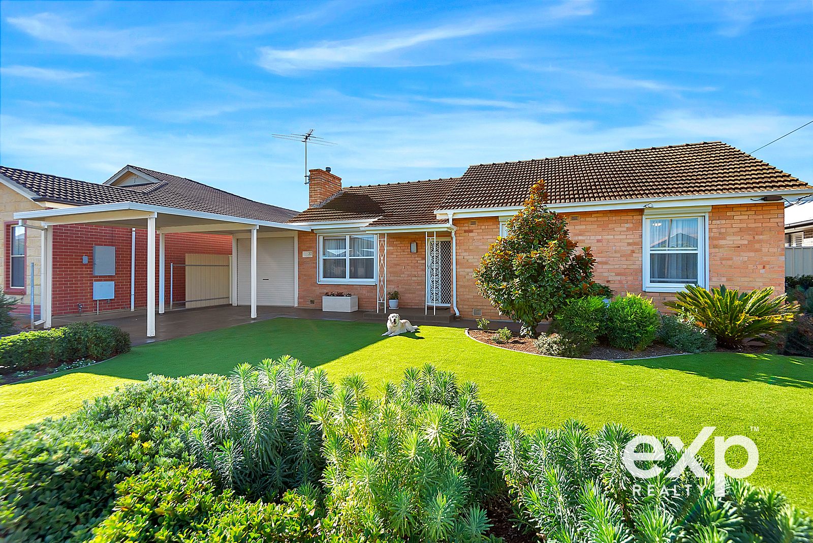 30 Lucerne Grove, Findon SA 5023, Image 0