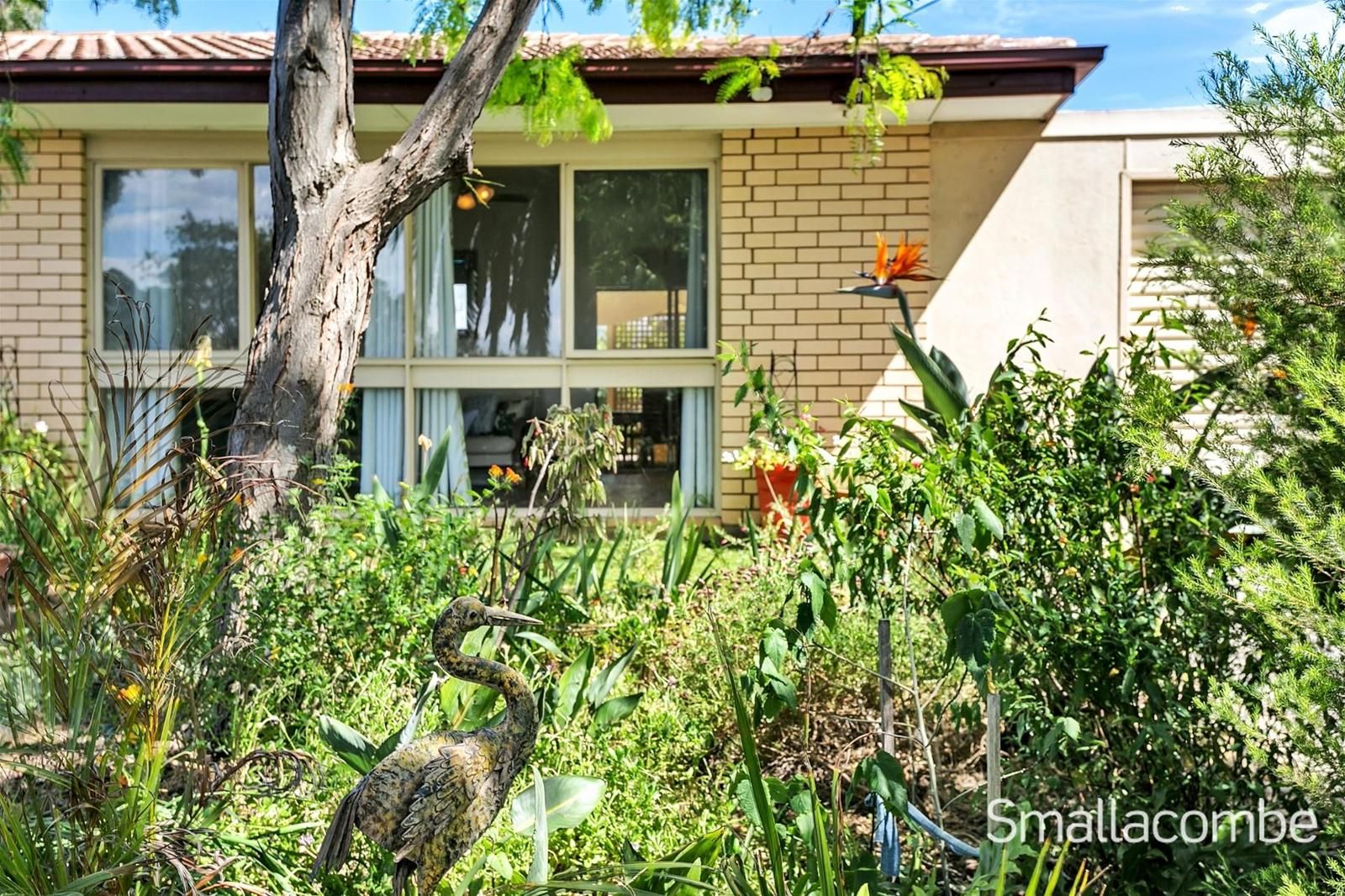 19 Fitzgerald Road, Pasadena SA 5042, Image 0