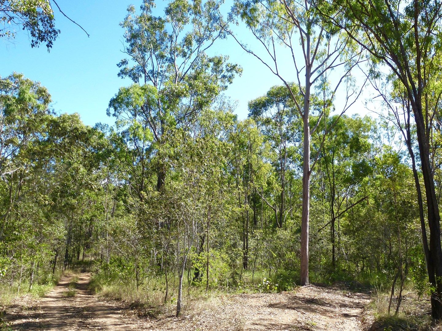 LOT 28 Cross Road, Euleilah QLD 4674, Image 0