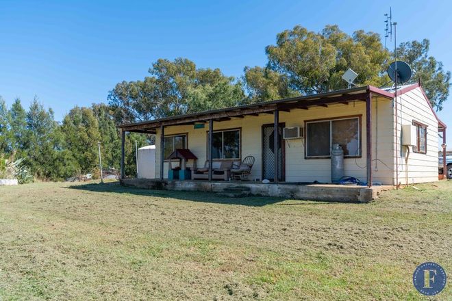 Picture of 11 Maloneys Road, MURRINGO NSW 2586