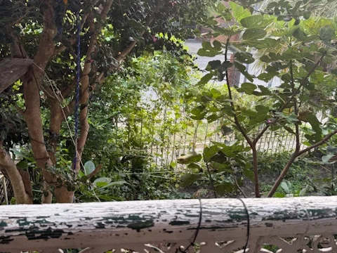 Additional image 6 of 166 Bronte Road, Waverley NSW 2024