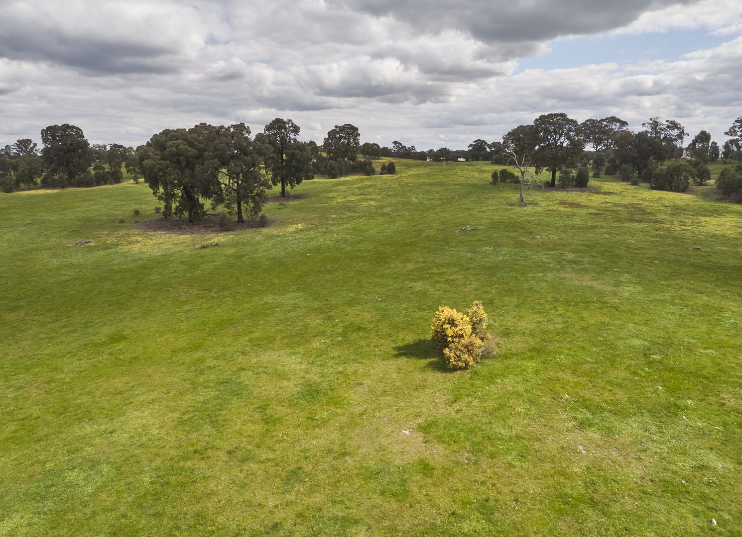 Lot 15 McLennan Lane, Heathcote VIC 3523, Image 2