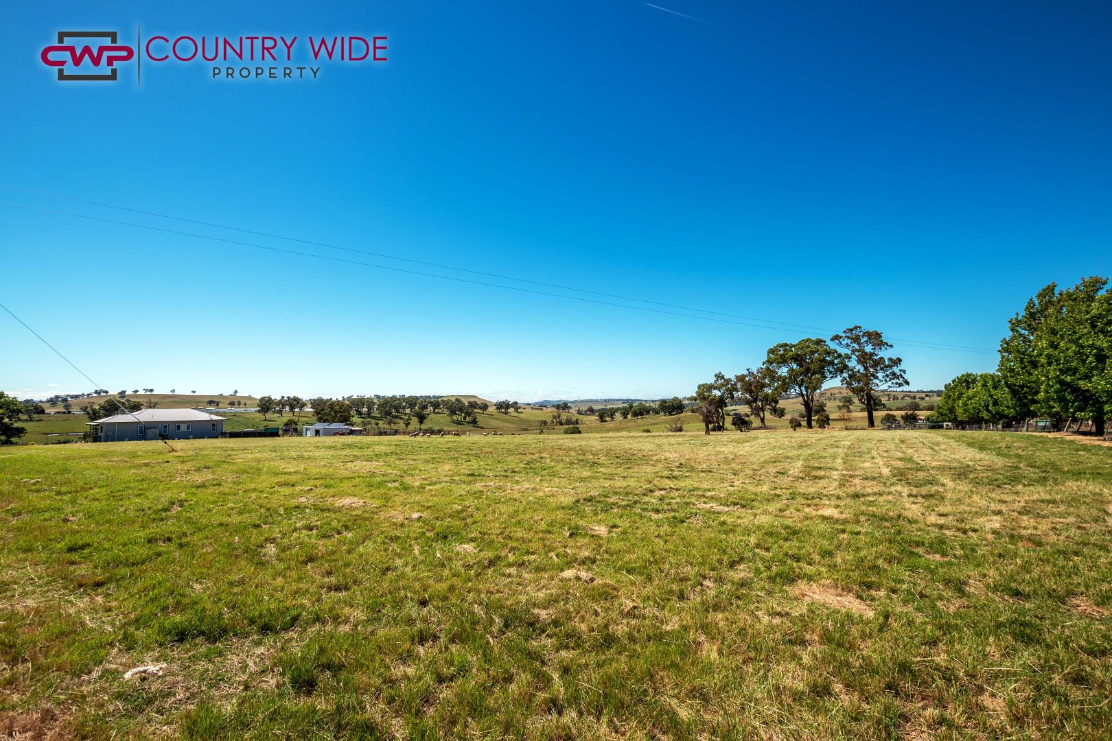 40 Elm Street, Guyra NSW 2365, Image 1