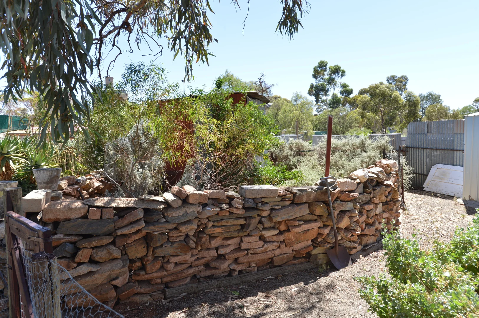 Image 11