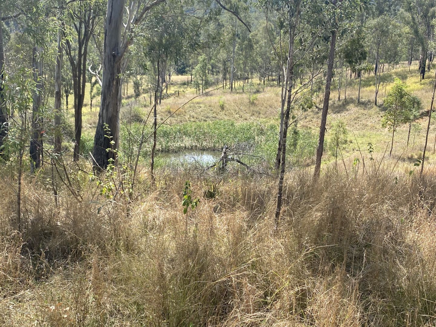 Sheep Station Creek QLD 4515, Image 2