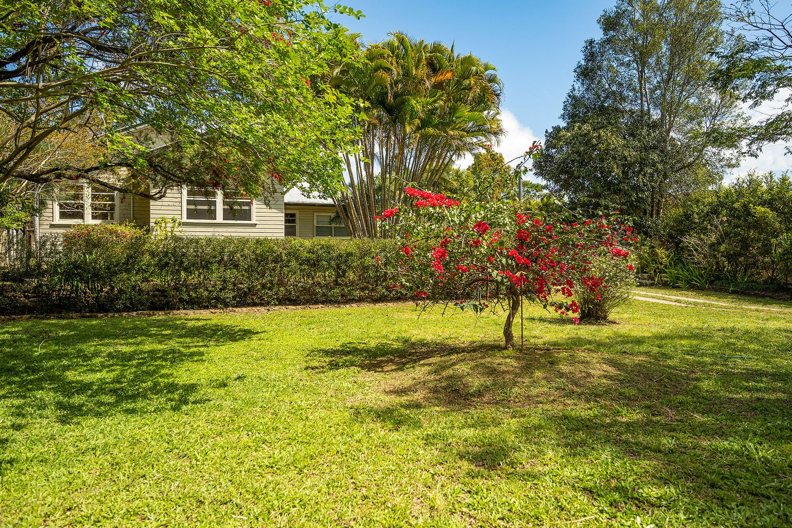 3 - 7 Myokum Street, Mullumbimby NSW 2482, Image 2