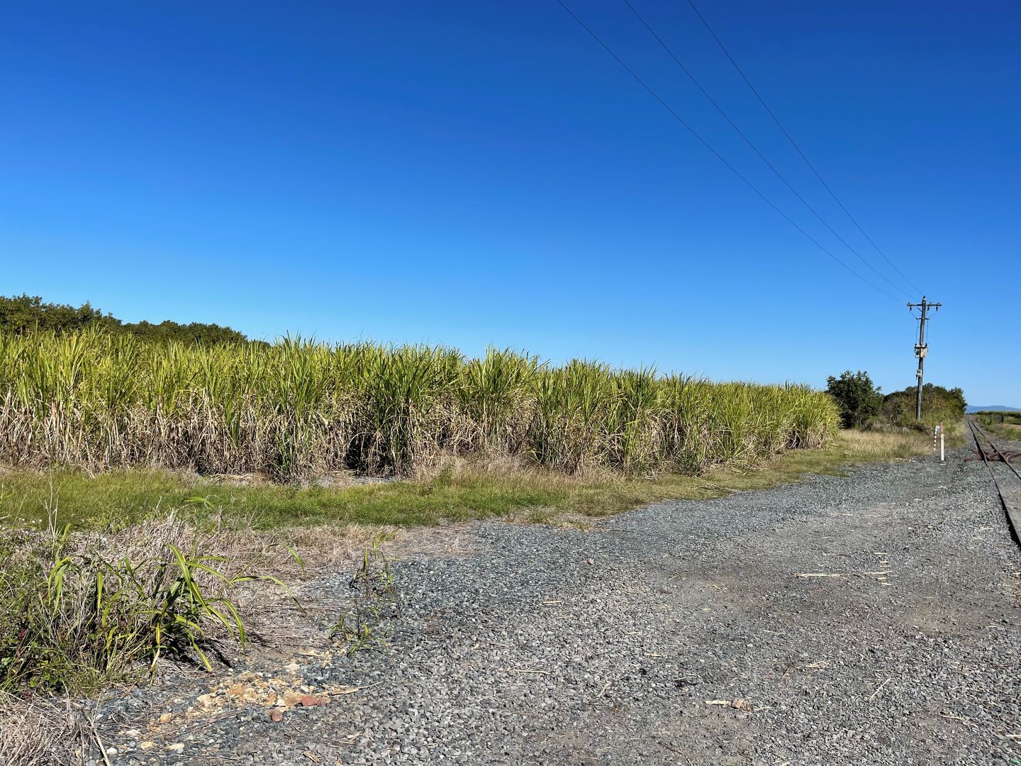 Lot 7 Holts Road, Glenella QLD 4740, Image 2