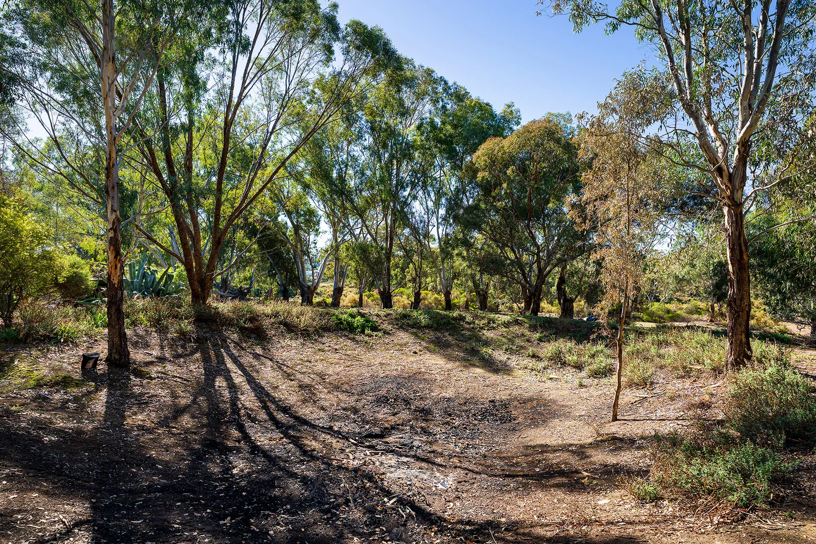 Image 11