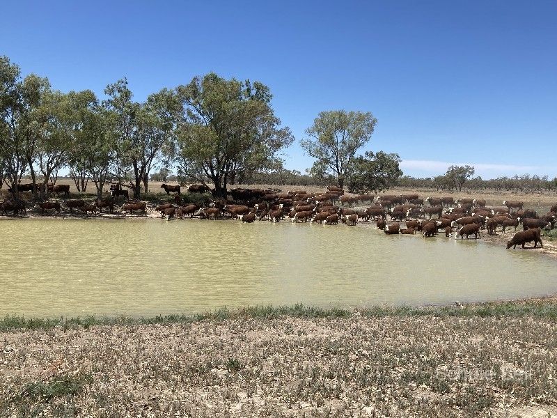 . West Mooculta, Bourke NSW 2840, Image 0