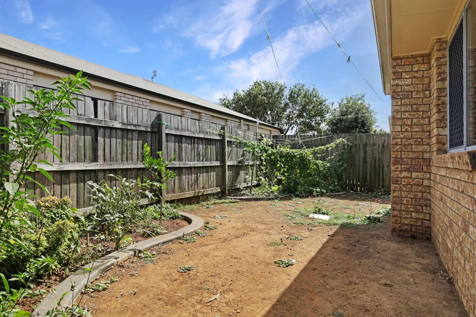 Image 13