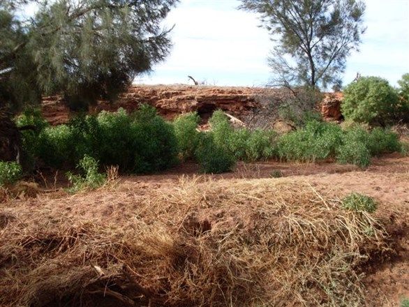 Mullewa WA 6630, Image 2