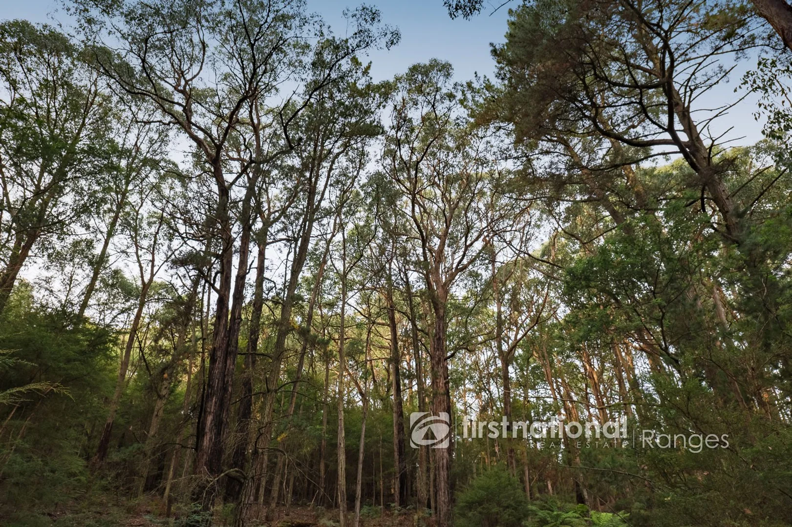 Additional image 26 of 171a Stewart Road, Emerald VIC 3782