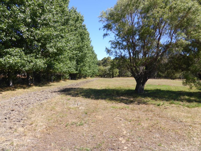 Proposed Lot 316 Bushby Road, Karridale WA 6288, Image 2