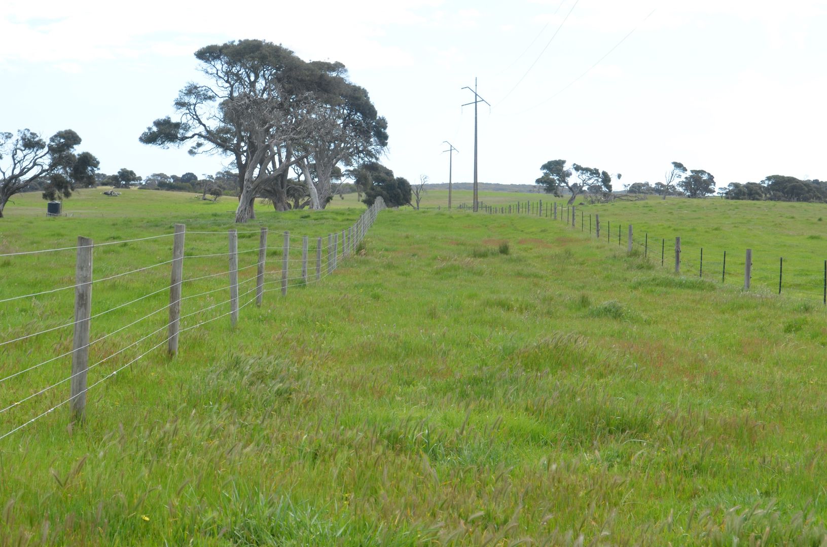 Sec 116 Old Naracoorte Road, Robe SA 5276, Image 2