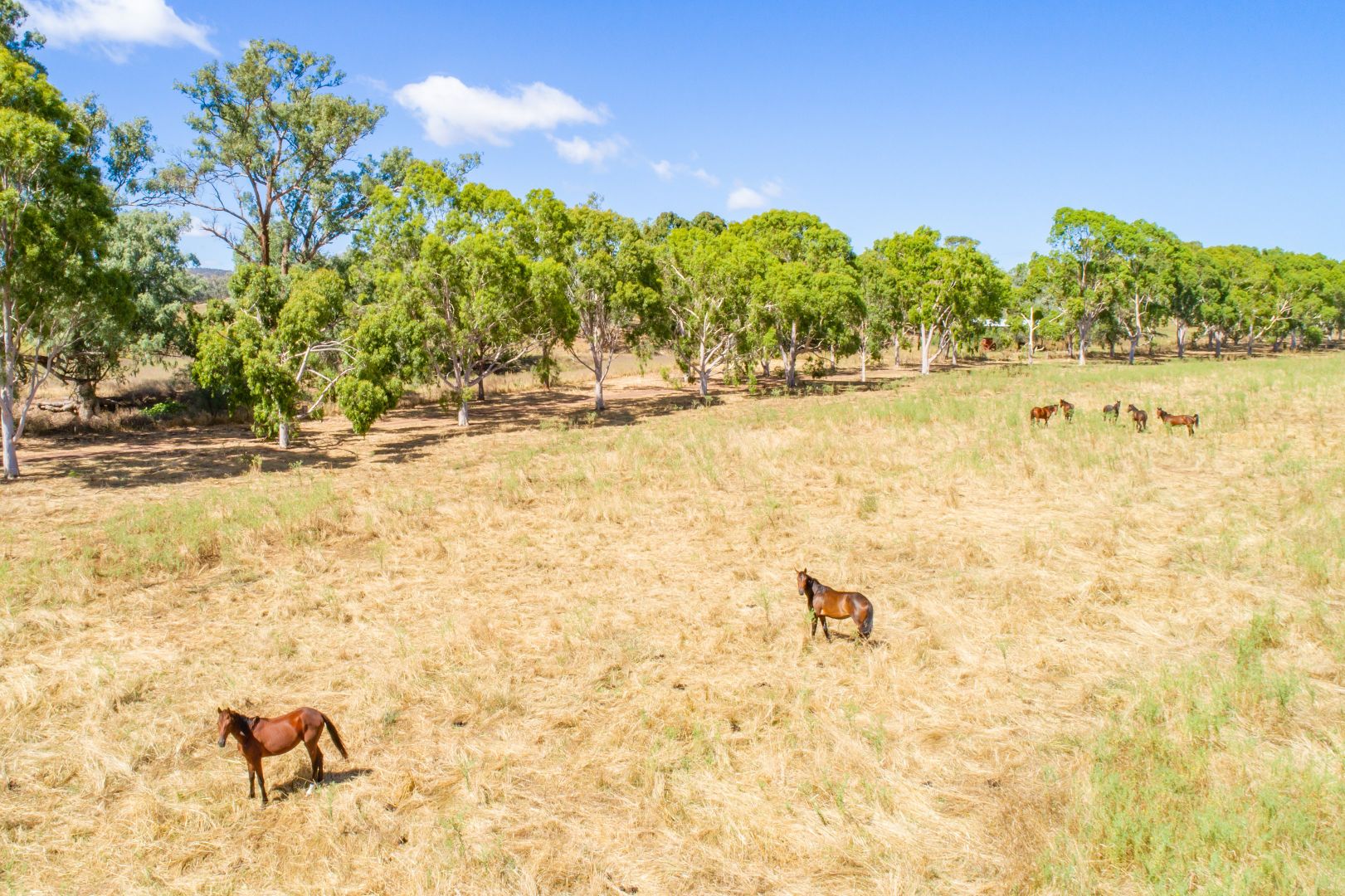 73 Tallarook Road, Cowra NSW 2794, Image 2