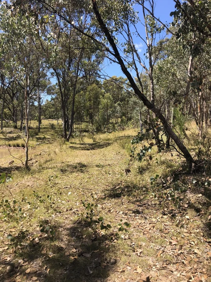 Image 10