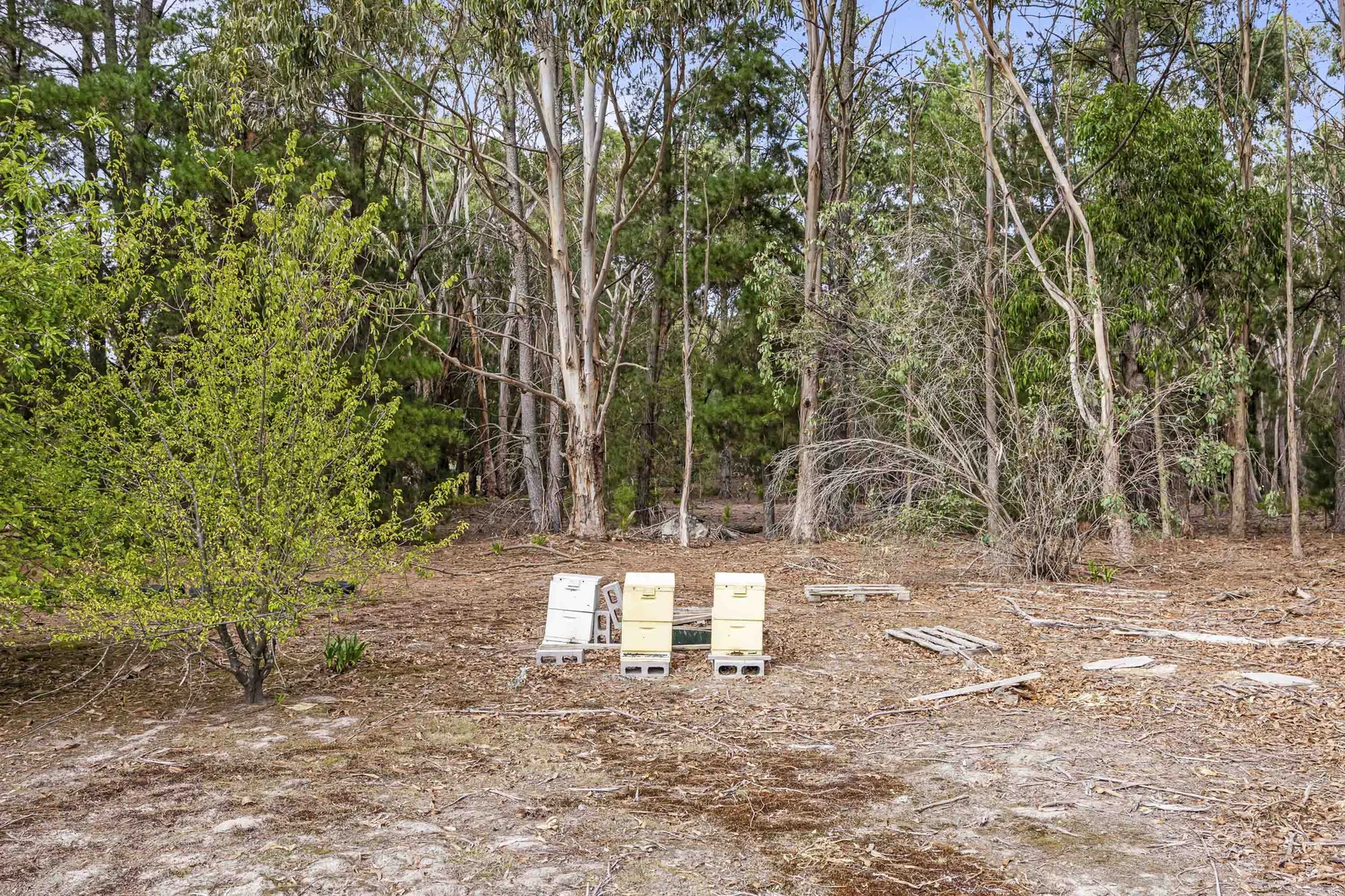 Additional image 26 of 165 Dereel-Rokewood Junction Road, Dereel VIC 3352