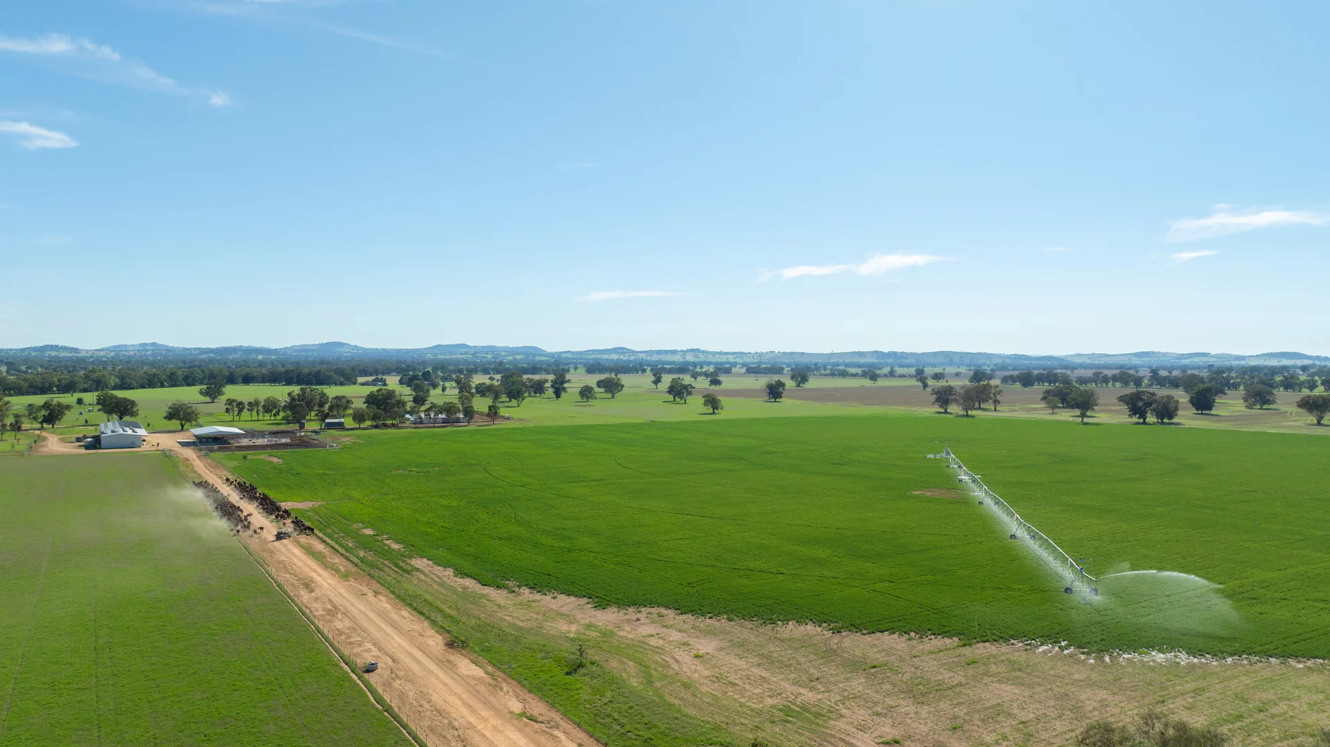 Additional image 30 of 1948 Coach Road, Morven NSW 2660