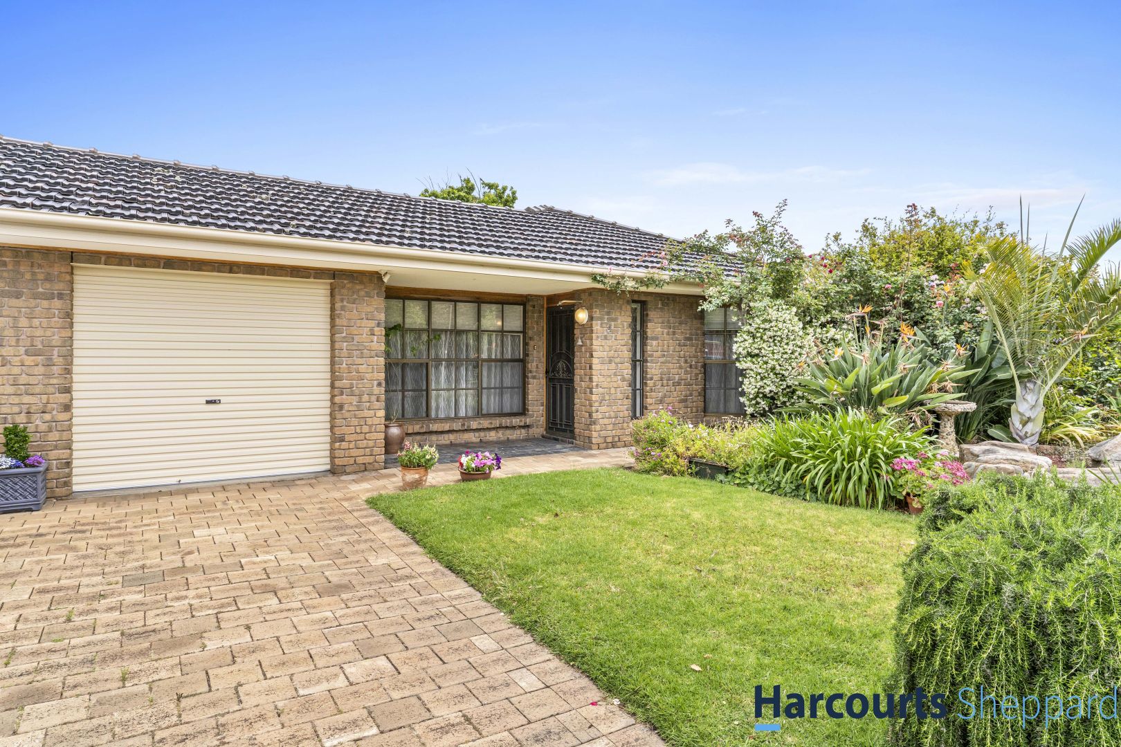 4 Links Road, Novar Garden Property History & Address Research Domain