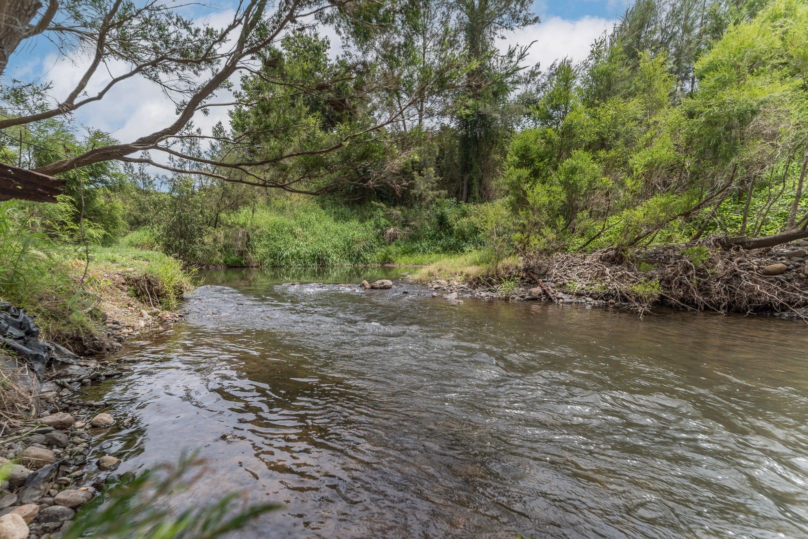 1617 Kerry Road, Kerry QLD 4285, Image 0