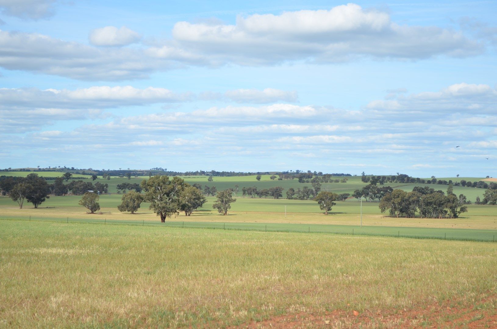 Wagga Wagga NSW 2650, Image 0