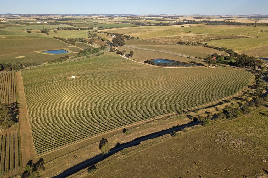 Allotment 14 Horrocks Highway, Leasingham SA 5452, Image 0