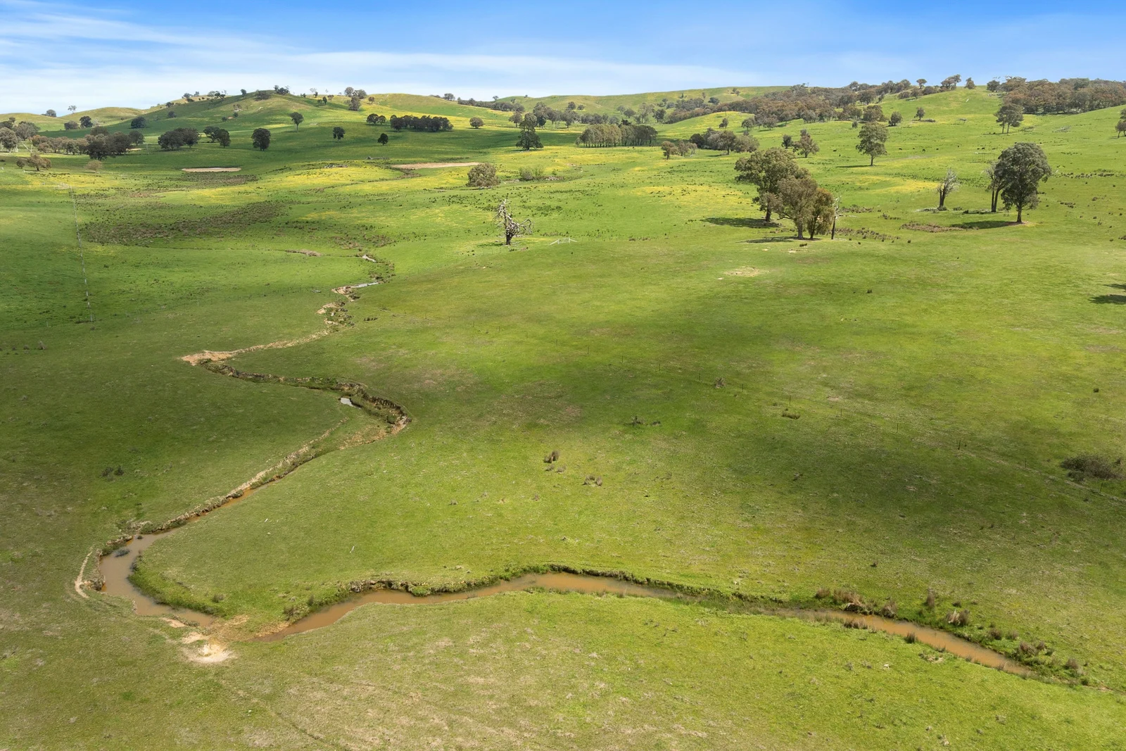 Additional image 14 of 46 Lemins Road, Merton VIC 3715