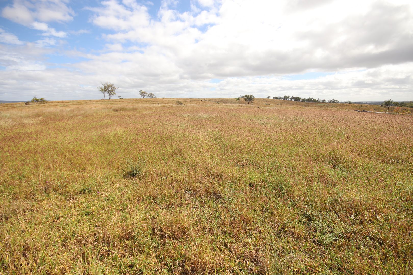 Lot 33 Eidsvold Theodore Road, Eidsvold QLD 4627, Image 2