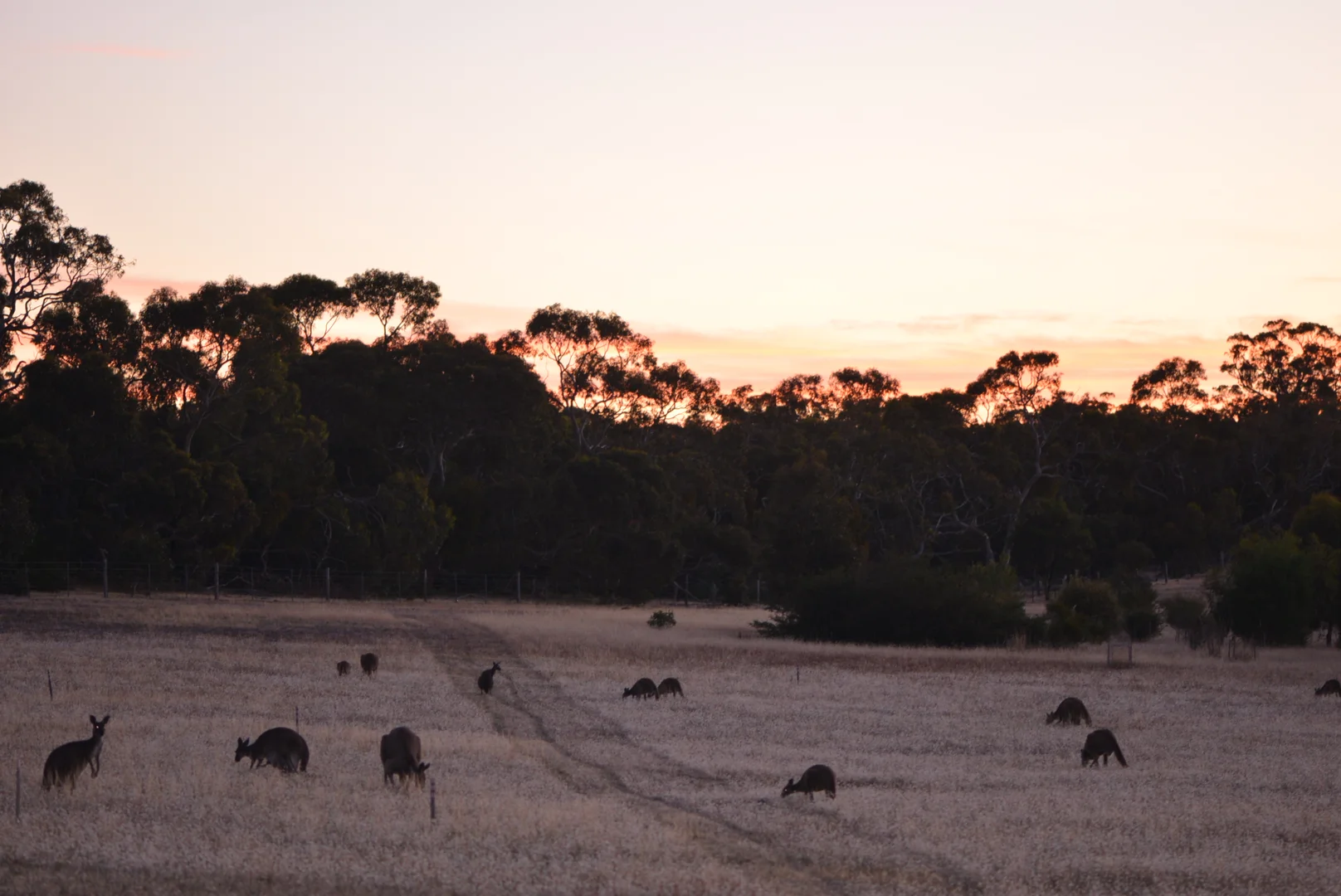 Image 85