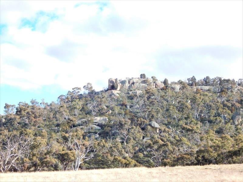 "Shaws Hill" Ironmungie Road, Dalgety NSW 2628, Image 2