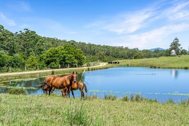 Picture of 262 Wallaby Joe Road, WINGHAM NSW 2429